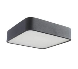 Потолочные