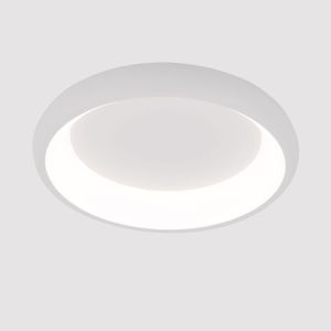 Потолочный светодиодный светильник Arte Lamp Menkib A2694PL-45WH