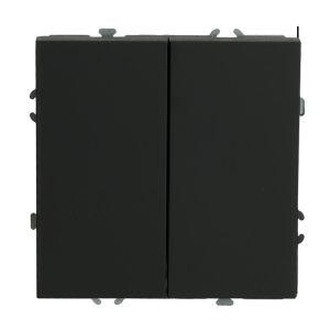 Выключатель двухклавишный Stekker Эмили черный уголь RSW10-5104-05 49840