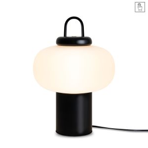 Настольный светильник Freya FR6175TL-L10B