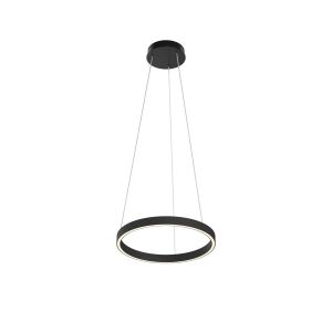 Подвесной светильник Maytoni MOD058PL-L22BK