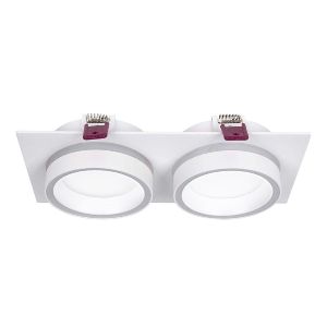 Встраиваемый светильник Favourite 4650-2C