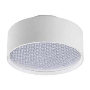 Светильник накладной Lightstar Acuto 215946