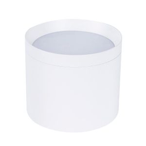 Накладной светильник Favourite 4708-1C