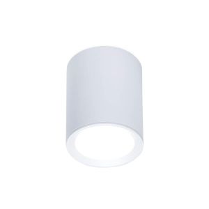 Потолочный светильник Ambrella light Techno Spot TN215