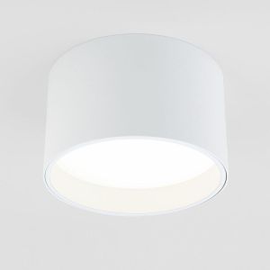 Потолочный светодиодный светильник Elektrostandard 25123/Led Banti 13Вт 4200K a058846