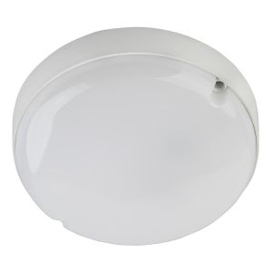 Настенно-потолочный светильник ЭРА SPB-201-0-65К-012 Б0047620