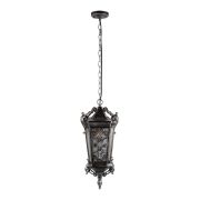 Уличный подвесной светильник Loft IT Tremezzo 100019P BS