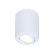 Потолочный светильник Ambrella light Techno Spot TN225